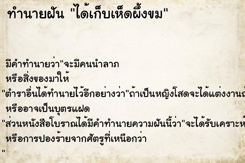 ทำนายฝัน ได้เก็บเห็ดผึ้งขม