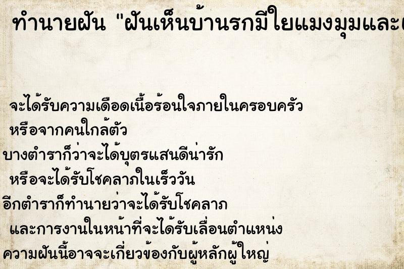 ทำนายฝัน ฝันเห็นบ้านรกมีใยแมงมุมและแมลงเป็นกล่มก้อน