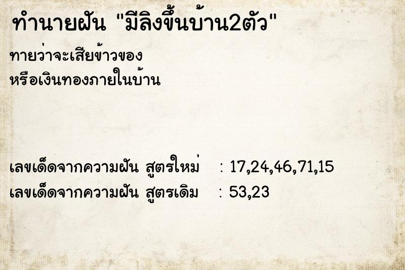 ทำนายฝัน มีลิงขึ้นบ้าน2ตัว