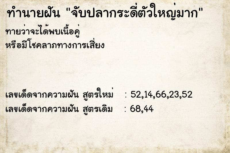 ทำนายฝัน จับปลากระดี่ตัวใหญ่มาก  เลขนำโชค 