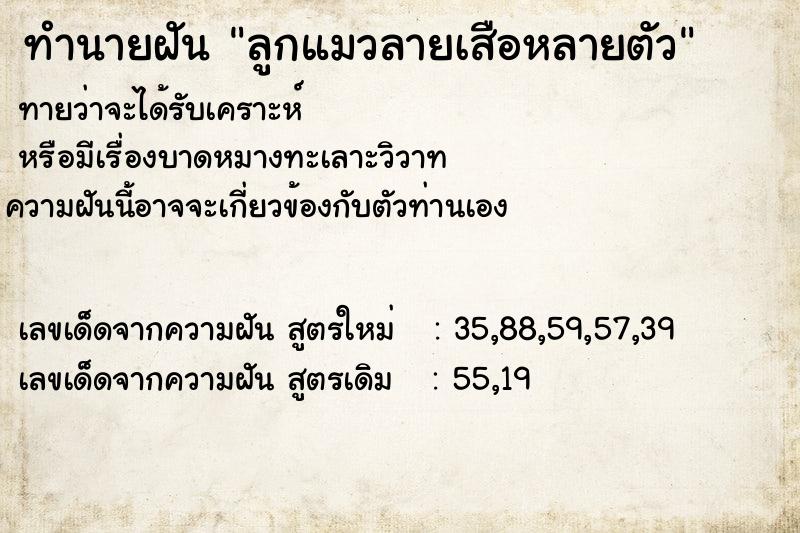 ทำนายฝัน ลูกแมวลายเสือหลายตัว