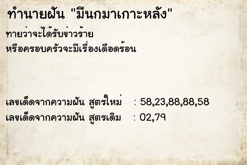 ทำนายฝัน มีนกมาเกาะหลัง