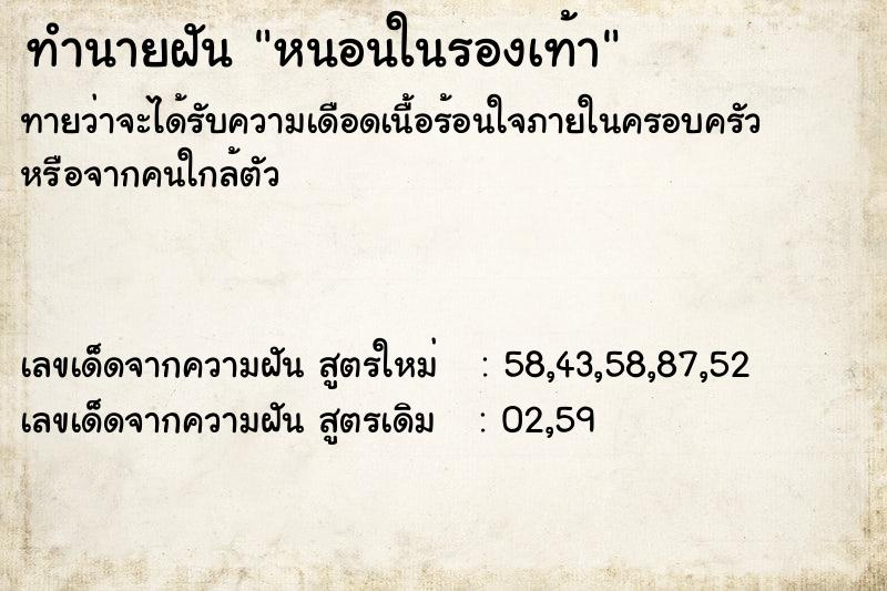 ทำนายฝัน หนอนในรองเท้า