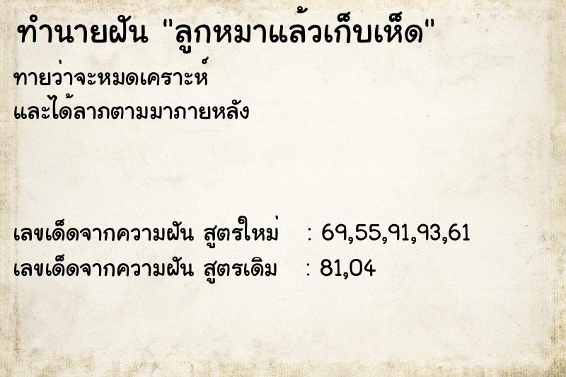 ทำนายฝัน ลูกหมาแล้วเก็บเห็ด  เลขนำโชค 