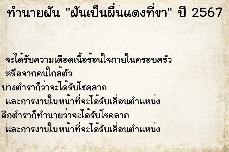 ทำนายฝัน ฝันเป็นผื่นแดงที่ขา  เลขนำโชค 