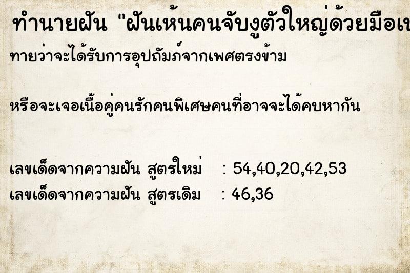 ทำนายฝัน ฝันเห้นคนจับงูตัวใหญ่ด้วยมือเปล่า