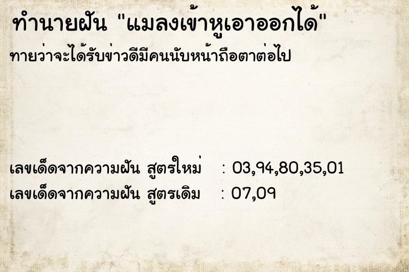 ทำนายฝัน แมลงเข้าหูเอาออกได้