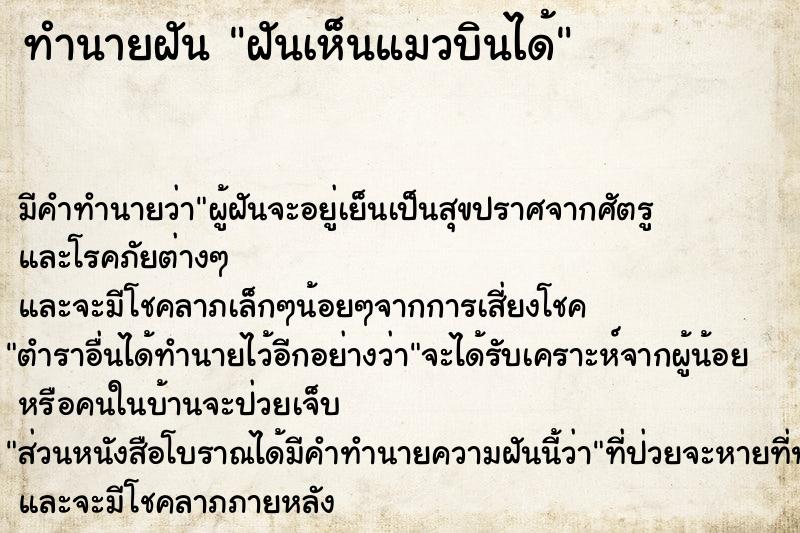 ทำนายฝัน ฝันเห็นแมวบินได้