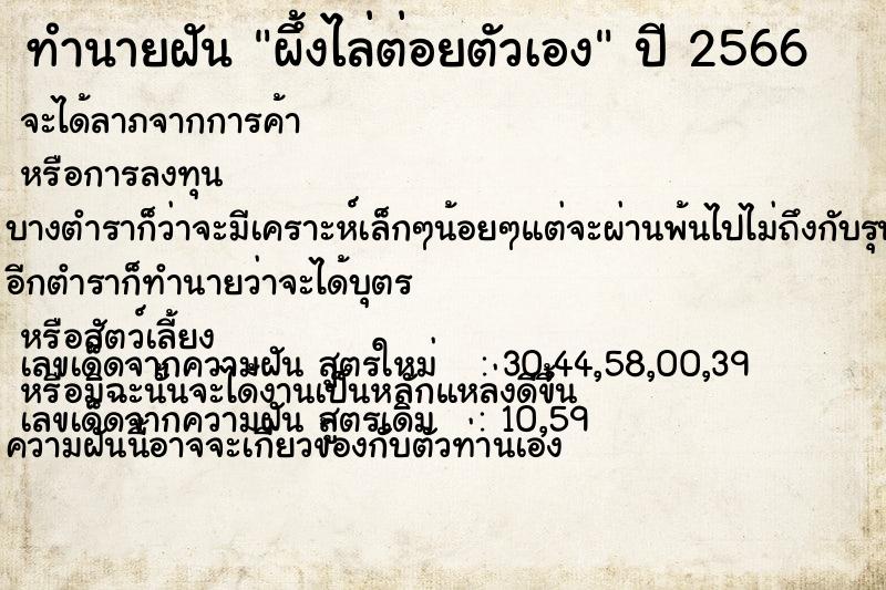 ทำนายฝัน ผึ้งไล่ต่อยตัวเอง