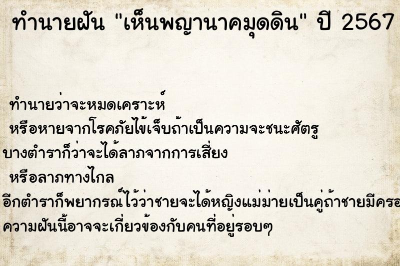 ทำนายฝัน เห็นพญานาคมุดดิน