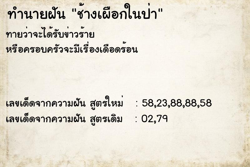 ทำนายฝัน ช้างเผือกในป่า