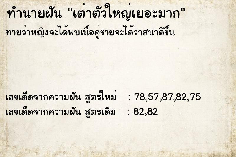 ทำนายฝัน เต่าตัวใหญ่เยอะมาก