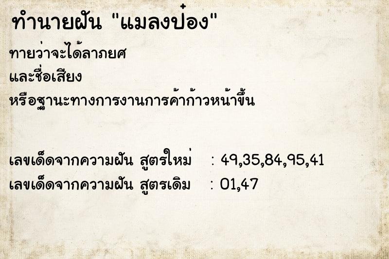 ทำนายฝัน แมลงป๋อง