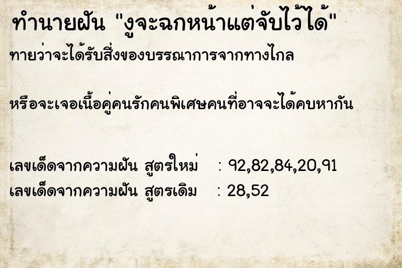 ทำนายฝัน งูจะฉกหน้าแต่จับไว้ได้