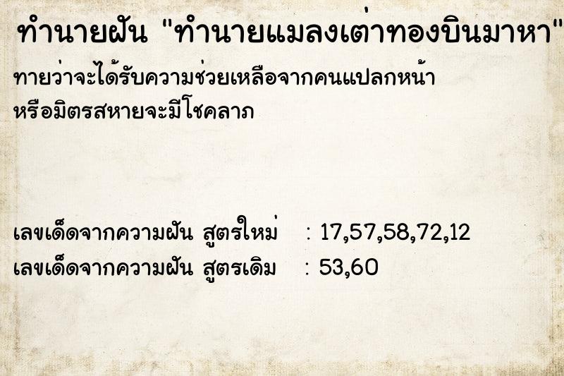 ทำนายฝัน ทำนายแมลงเต่าทองบินมาหา