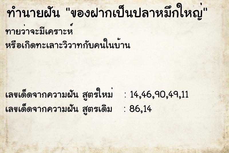 ทำนายฝัน ของฝากเป็นปลาหมึกใหญ่