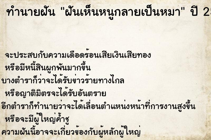 ทำนายฝัน ฝันเห็นหนูกลายเป็นหมา