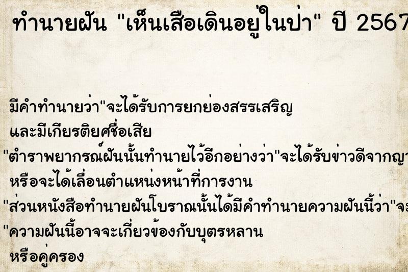 ทำนายฝัน เห็นเสือเดินอยู่ในป่า  เลขนำโชค 