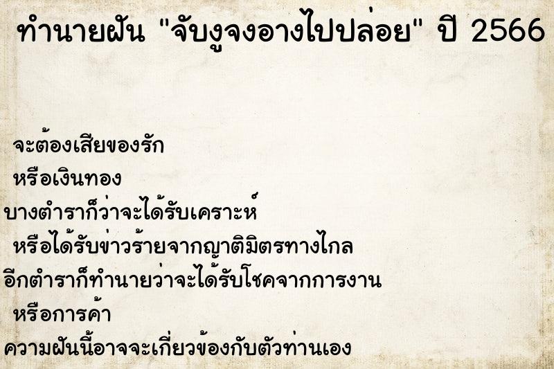 ทำนายฝัน จับงูจงอางไปปล่อย