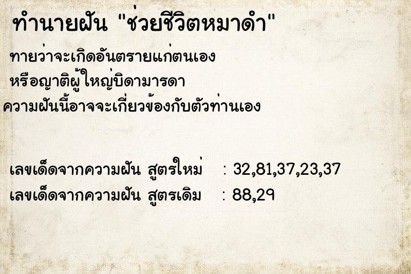 ทำนายฝัน ช่วยชีวิตหมาดำ