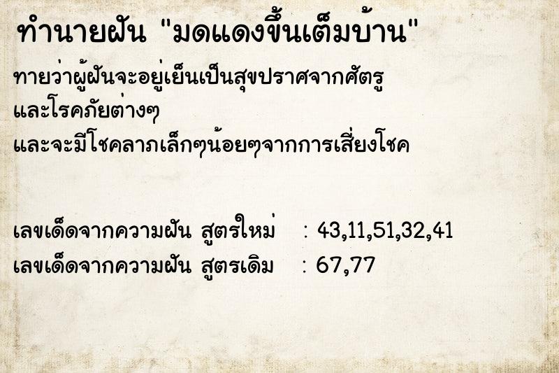 ทำนายฝัน มดแดงขึ้นเต็มบ้าน ตำราโบราณ แม่นที่สุดในโลก