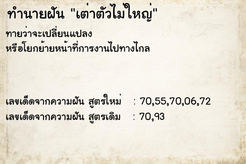 ทำนายฝัน เต่าตัวไม่ใหญ่