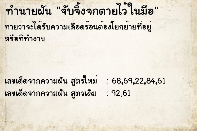 ทำนายฝัน จับจิ้งจกตายไว้ในมือ