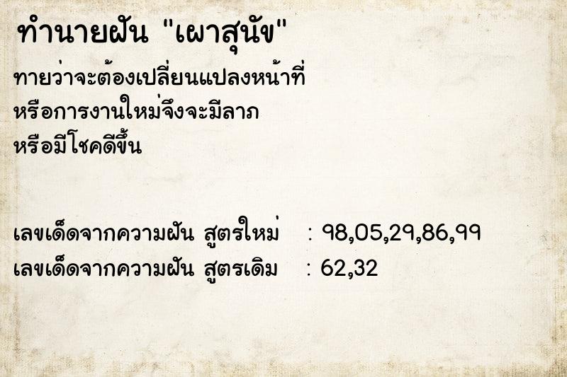 ทำนายฝัน เผาสุนัข