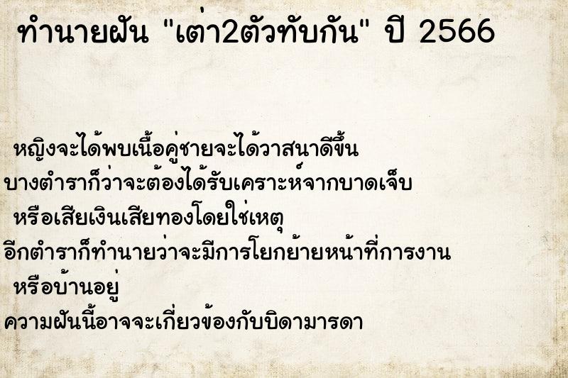 ทำนายฝัน เต่า2ตัวทับกัน