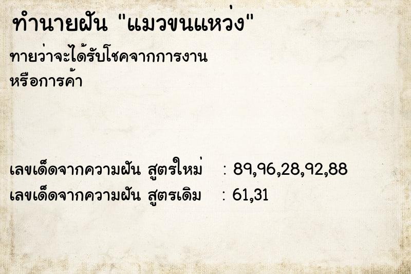 ทำนายฝัน แมวขนแหว่ง