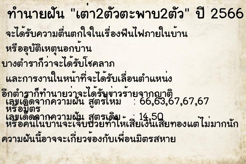 ทำนายฝัน เต่า2ตัวตะพาบ2ตัว