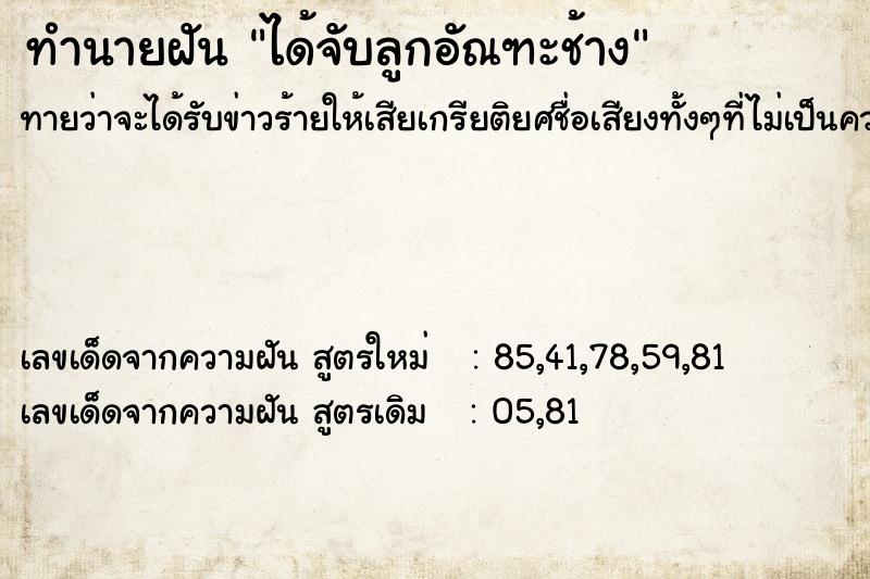 ทำนายฝัน ได้จับลูกอัณฑะช้าง