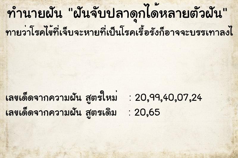 ทำนายฝัน ฝันจับปลาดุกได้หลายตัวฝัน