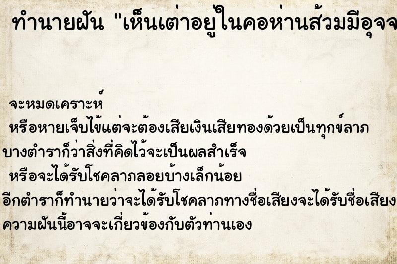 ทำนายฝัน เห็นเต่าอยู่ในคอห่านส้วมมีอุจจาระด้วย