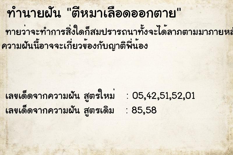 ทำนายฝัน ตีหมาเลือดออกตาย