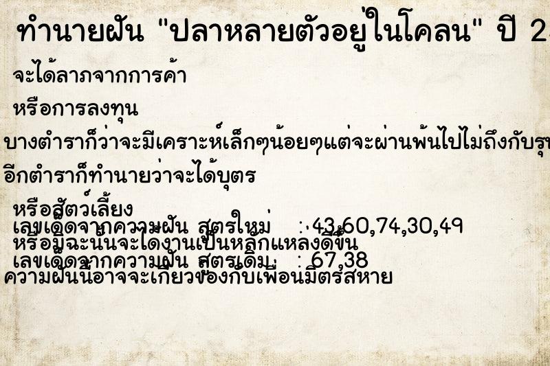 ทำนายฝัน ปลาหลายตัวอยู่ในโคลน  เลขนำโชค 