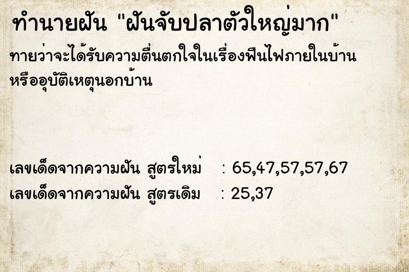 ทำนายฝัน ฝันจับปลาตัวใหญ่มาก