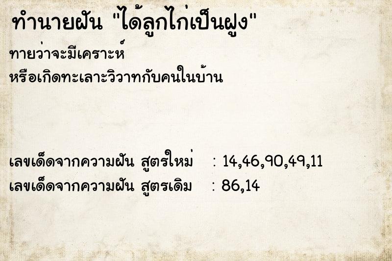 ทำนายฝัน ได้ลูกไก่เป็นฝูง