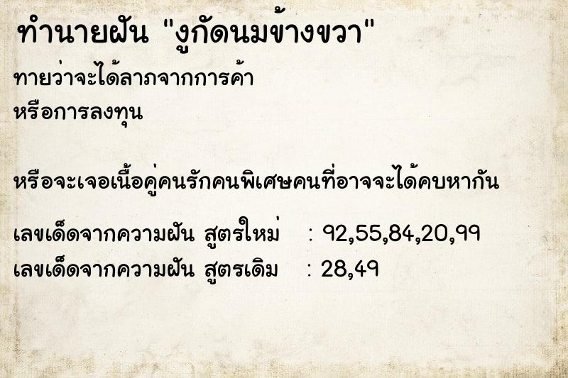 ทำนายฝัน งูกัดนมข้างขวา