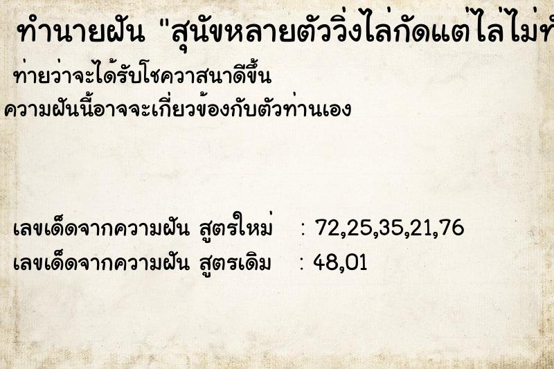 ทำนายฝัน สุนัขหลายตัววิ่งไล่กัดแต่ไล่ไม่ทัน