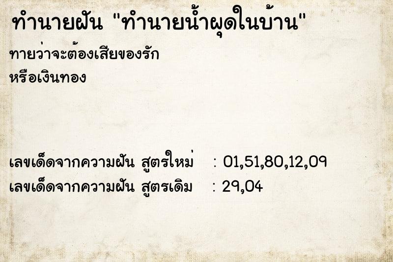 ทำนายฝัน ทำนายน้ำผุดในบ้าน