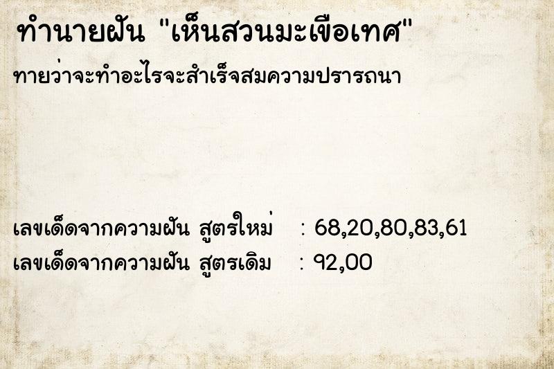 ทำนายฝัน เห็นสวนมะเขือเทศ