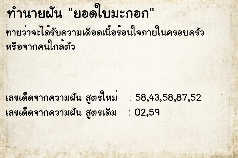 ทำนายฝัน ยอดใบมะกอก