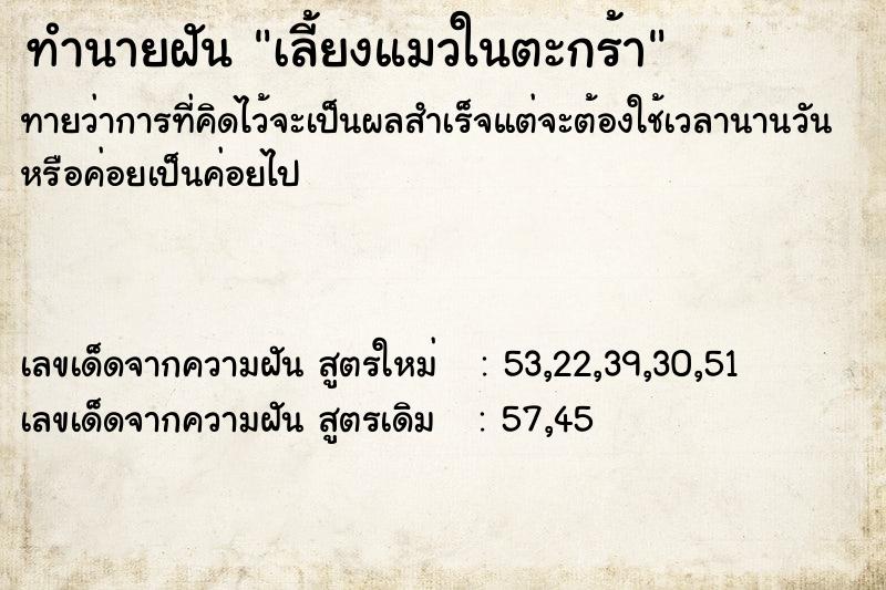 ทำนายฝัน เลี้ยงแมวในตะกร้า