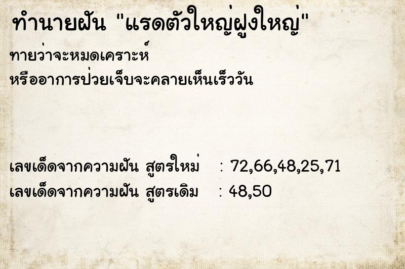 ทำนายฝัน แรดตัวใหญ่ฝูงใหญ่