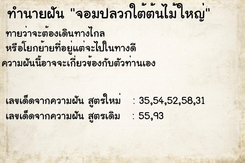 ทำนายฝัน จอมปลวกใต้ต้นไม้ใหญ่