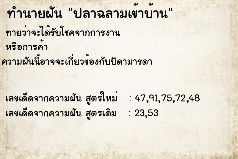 ทำนายฝัน ปลาฉลามเข้าบ้าน