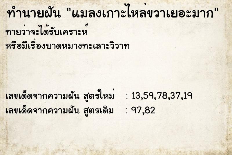 ทำนายฝัน แมลงเกาะไหล่ขวาเยอะมาก