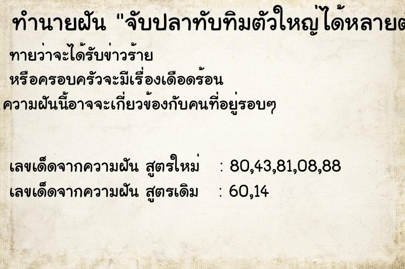 ทำนายฝันทำนายฝันจับปลาทับทิมตัวใหญ่ได้หลายตัว