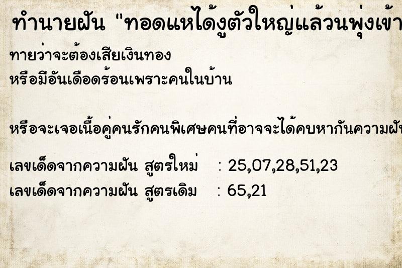 ทำนายฝัน ทอดแหได้งูตัวใหญ่แล้วนพุ่งเข้าหา